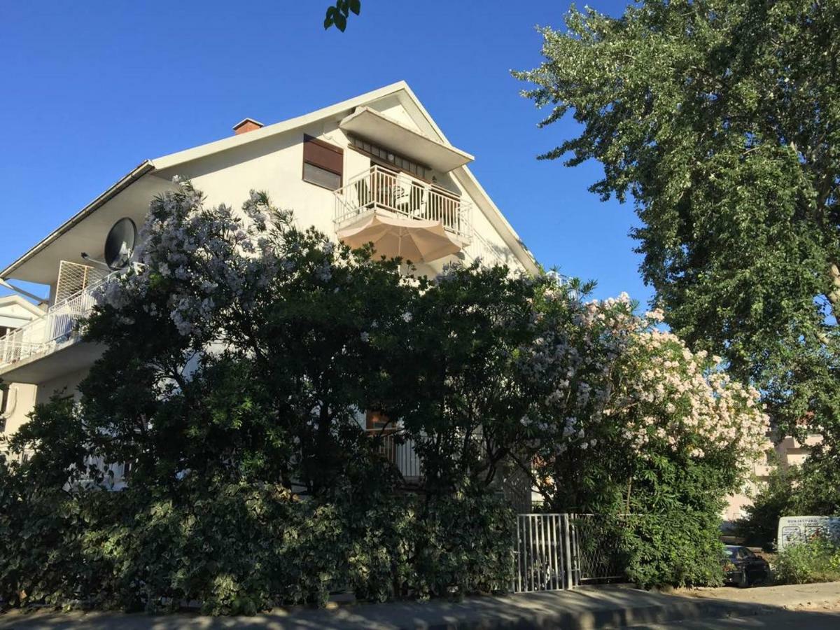 Monika Apartment Tivat Buitenkant foto
